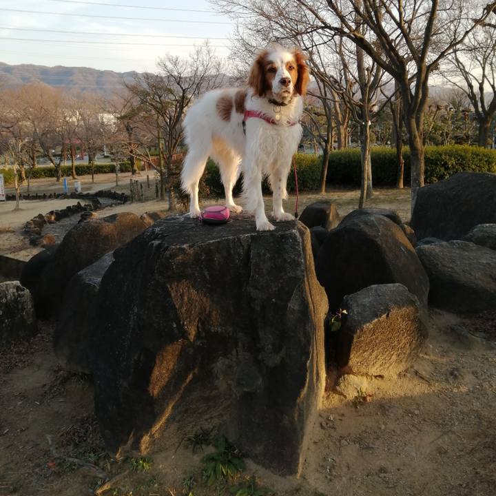 Ba0a7537 d1e0 4d4a aec3 6a6ab86467e6 1613129349072