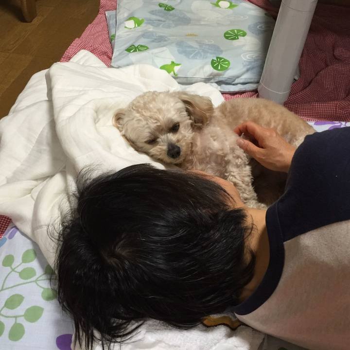 Ba0b6a73 271b 49af 939a 687d2e9b9354 1529416631079