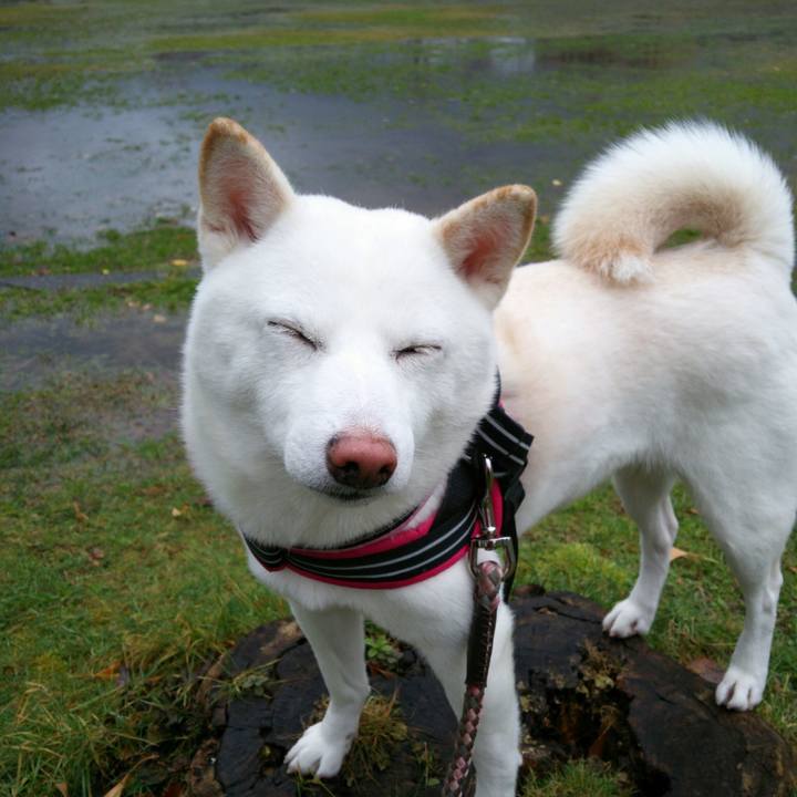 Ba0bb3b1 9acc 4b6b 90c2 38615c60357c 1545189464247