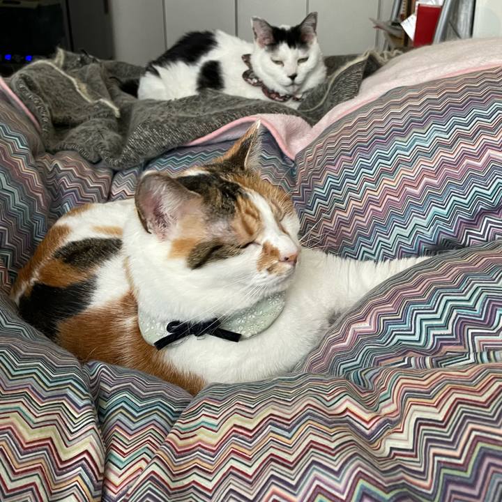 Ba0c0385 510a 46d2 bec9 6650f85f8d24 1681342625240