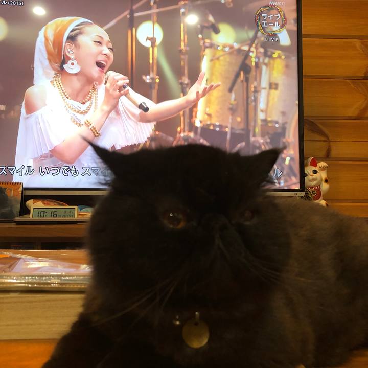 Ba0c32b7 ee8c 4585 a313 129433369b1f 1596893090633