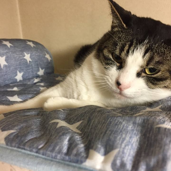 Ba0c7ba9 88a4 46e5 841c ca75c0ce675f 1525357484912