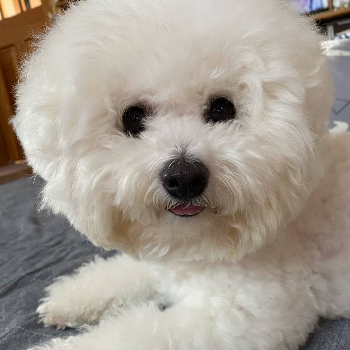 Ba0c88c5 b7ea 419d 8060 40d1b06100fa 1634194436031