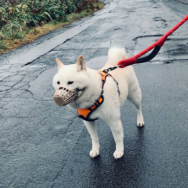 Ba0c8b7f 3e06 42c3 8439 159c8358b29c 1669677776356