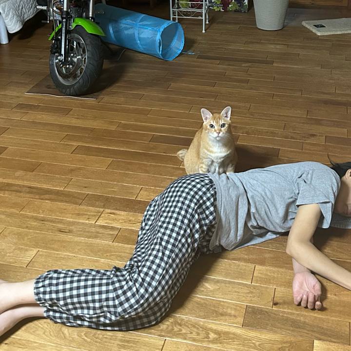 Ba0caf2a a0ce 482b 94a2 b50c34e4493c 1693587457246