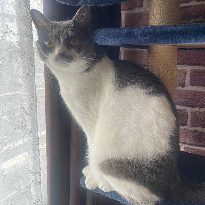 Ba0cb7ac d182 4775 9191 d563728061db 1654817623974