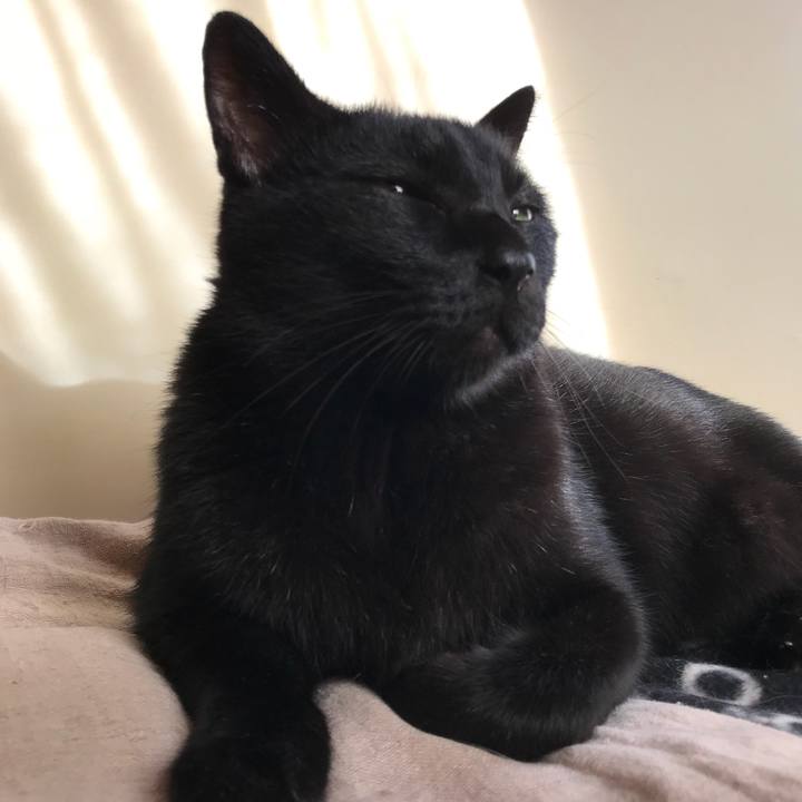 Ba0cc181 aa45 4249 8ef5 998751e5abe8 1510016099194