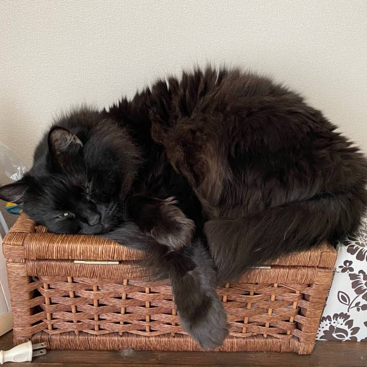 Ba0d1855 3fd8 4cfd b667 06449b2c69d7 1577108599353