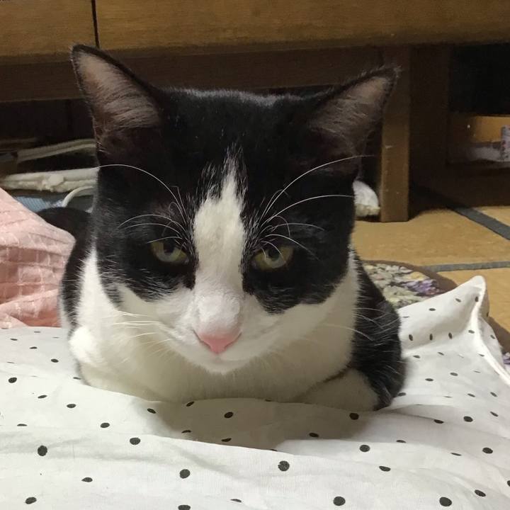 Ba0d629c 8784 425e bc25 0cb374355e96 1647162501579