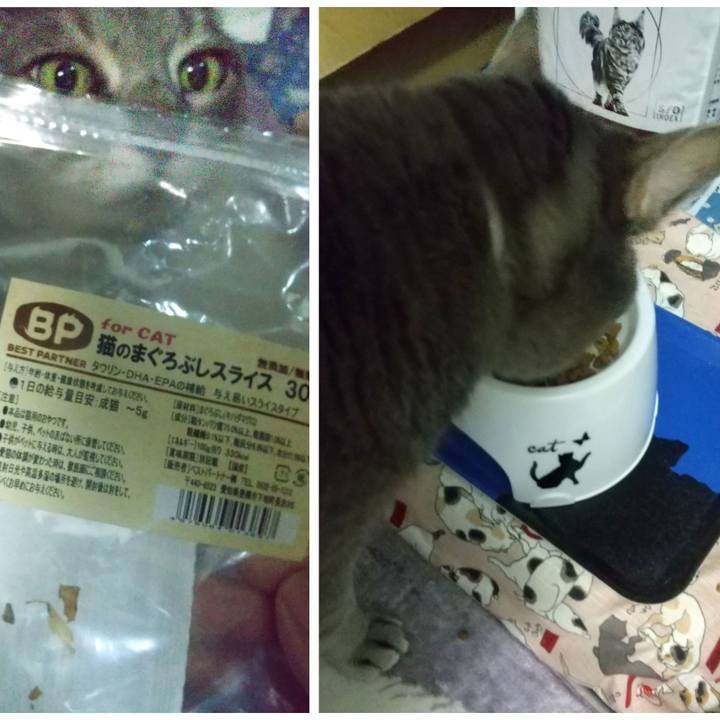 Ba0d69f3 1175 4748 b42e 66ff8155e9b1 1616199528328