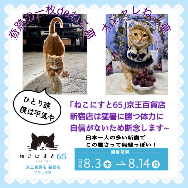 Ba0dd0a6 acf7 4aa4 b20f 4d219526eea2 1690451008033