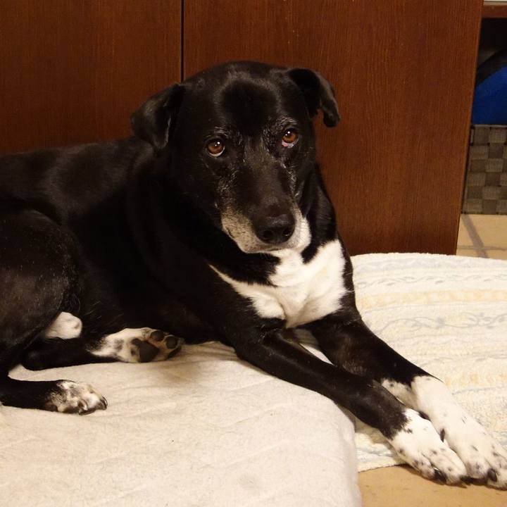 Ba0dece2 2b35 47db a5a7 af255407f2b9 1747565028072