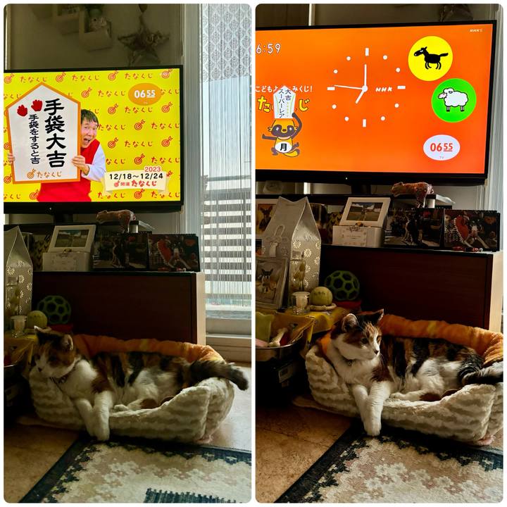 Ba0deded 0a10 4613 9223 a6f2fea7de32 1702851192923