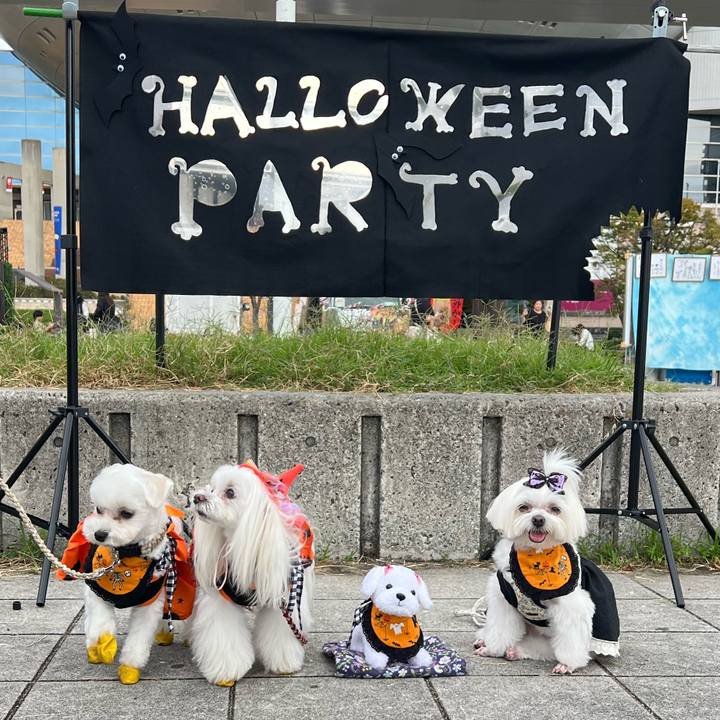 Ba0e1179 e6c3 4976 93f3 493a17581ffb 1760770104933