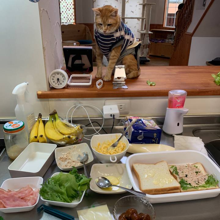 Ba0e2d38 8287 4257 af1e bb0cec408258 1650232162077