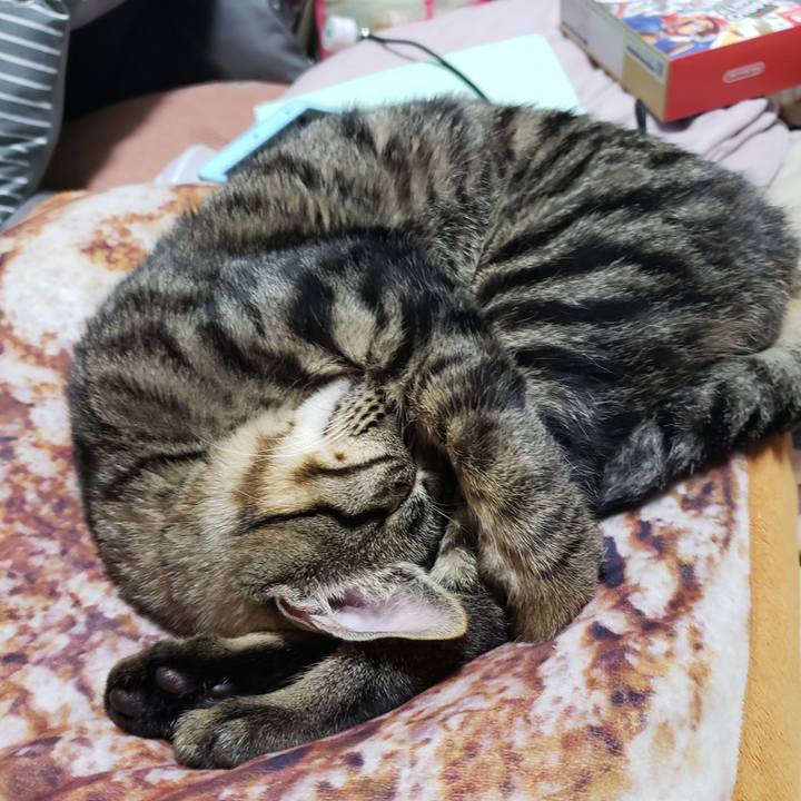 Ba0e34ed f5be 4181 abc6 0eaad765c2de 1543671342310