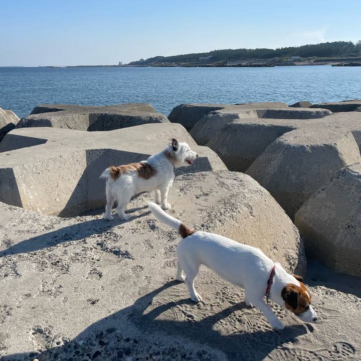 Ba0e3b44 b02b 4202 a3c0 271539302aff 1664670370769