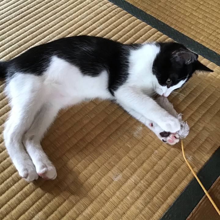 Ba0e6ab2 cc75 4fc7 a7da e7f8646040d5 1625643805790