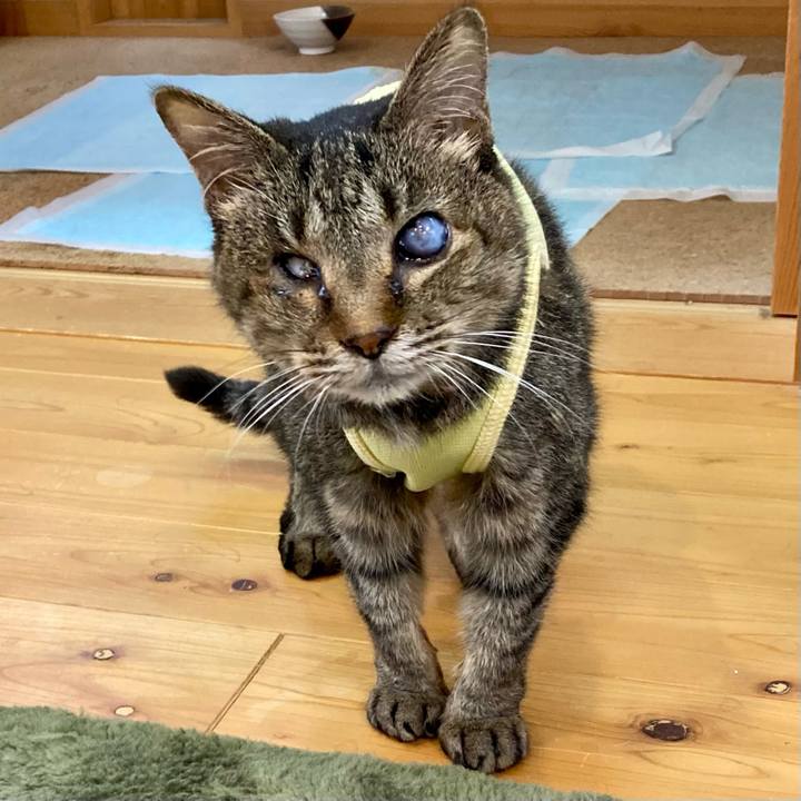 Ba0eaeb0 f947 4178 bad2 cab63f747b97 1685510989360