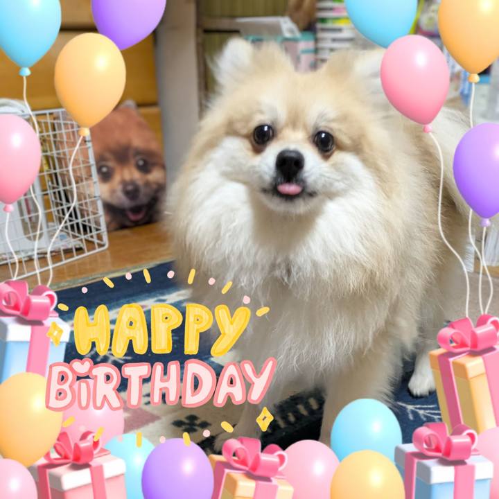 Ba0f0283 6291 427d 8e28 358906a3cb25 1769916921721