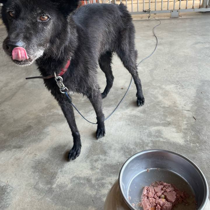 Ba0f4af1 9d63 494c 9c24 38a7f6d08971 1655613458104