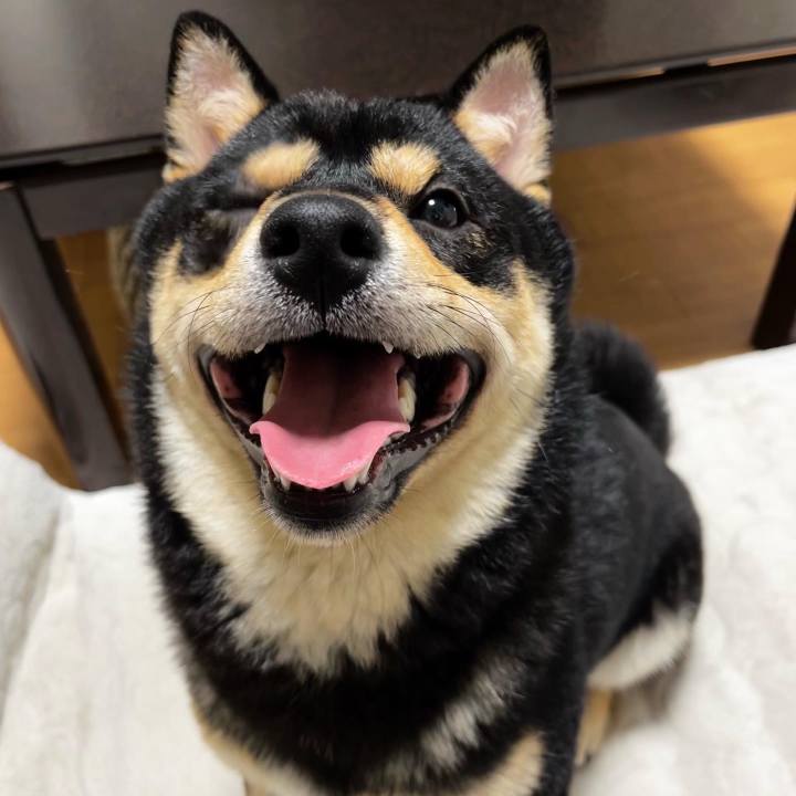 Ba0fd14b a0e0 4f15 83aa 4a24e772f173 1691656383540