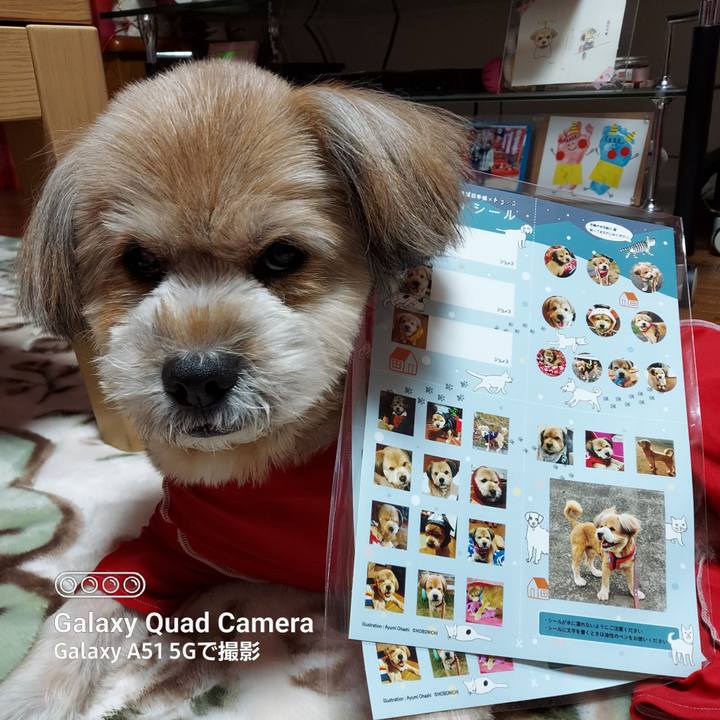 Ba0fdbf2 5dc3 4475 b2be a6ea5ea64451 1669025714655