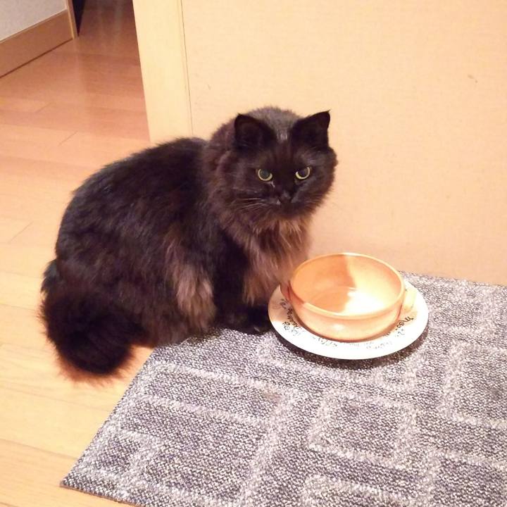 Ba101c49 9d05 4a7e 95a2 522a6761f8b7 1510495965527