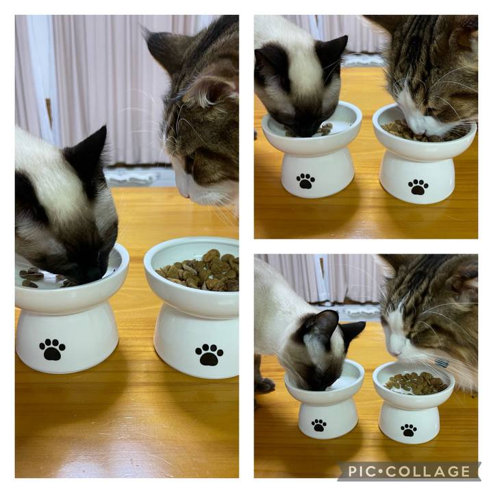 Ba102806 b4c2 4aa4 80a1 5187be33a17b 1708425890801