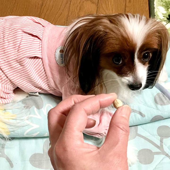 Ba102b08 4ae7 458b b2da a8730e3beb7a 1703379491056