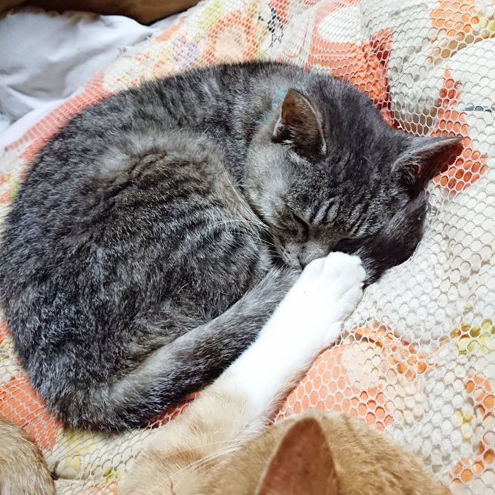 Ba104fed e677 4102 849e 6a1540805ce4 1603188972429