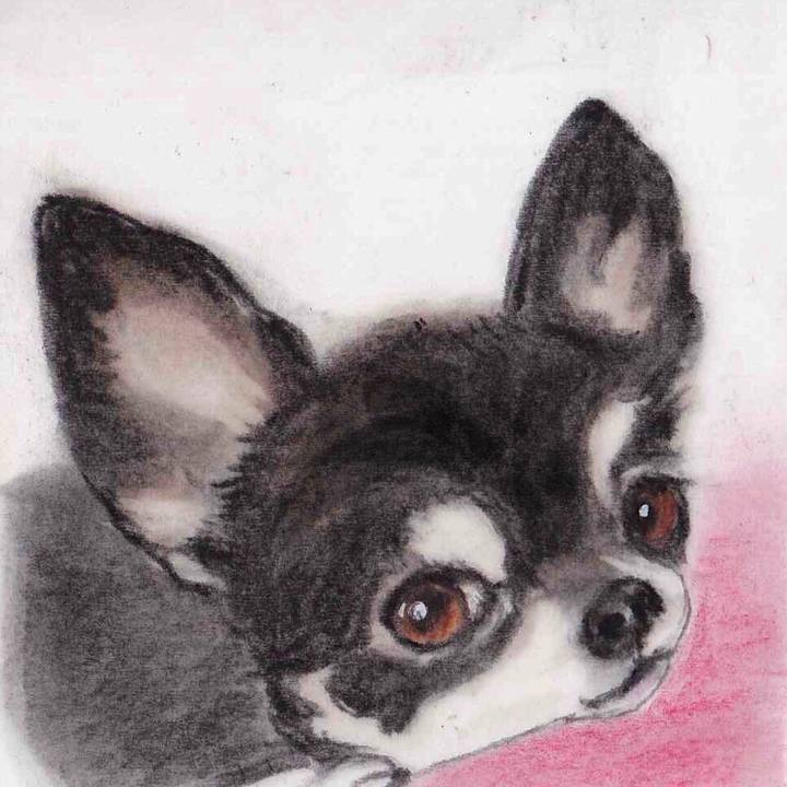 Ba105956 afdc 4721 97ab 6df86f28d818 1642346451787