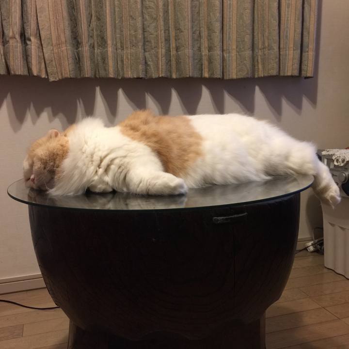 Ba1084c0 6ee6 42f9 a650 8ea223e1cc69 1522418534034