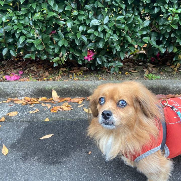 Ba109255 9df4 43a5 910a 51f8e8cad376 1637627168607