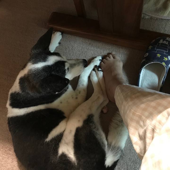 Ba10b467 b5cd 4bc6 930a 759d78c0440c 1574258349272