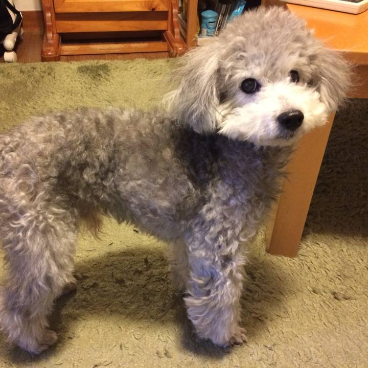 Ba10b8f6 e109 4a28 893a aa1960a01359 1761612190624