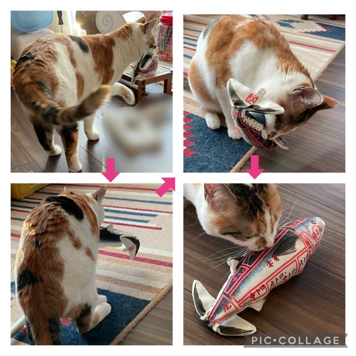 Ba10bfec ff99 467b 8323 daac2c607857 1619255769469