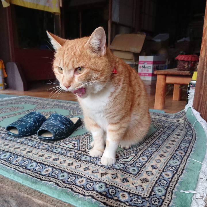 Ba10c01c 9362 489d 8521 bc8aaac30558 1578898771062