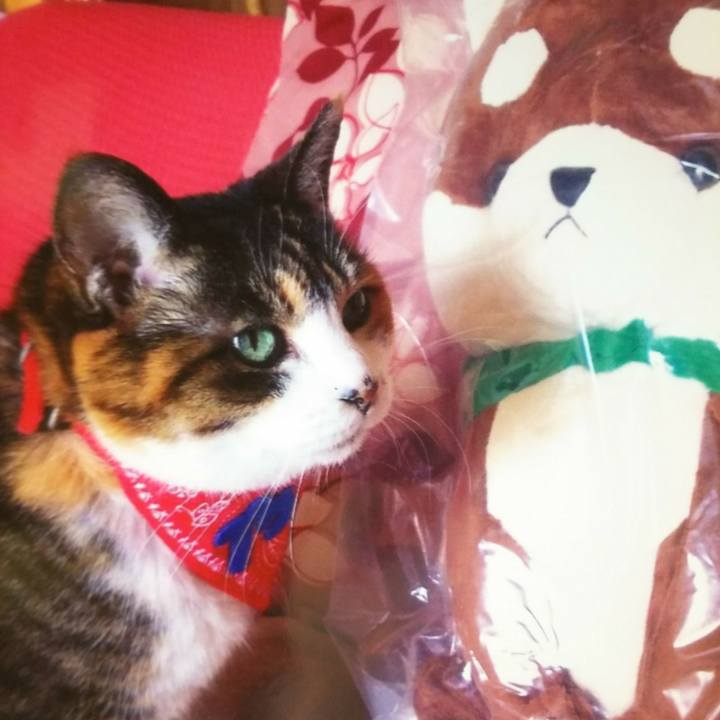 Ba10c37b 24e0 432e 8767 bc6904f8dc83 1528024996418