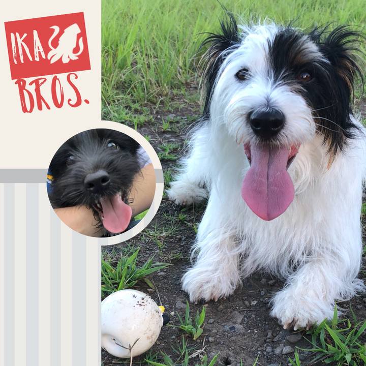 Ba10da32 2b82 4ae6 b957 38dffe3218ad 1532299182203