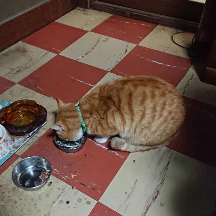 Ba10f935 2f6c 4da1 8548 e3dc61bf46fe 1585820822680