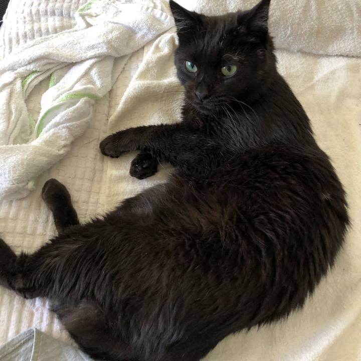 Ba10feff 03bb 4a3c b123 b182aa8fe652 1591223943408