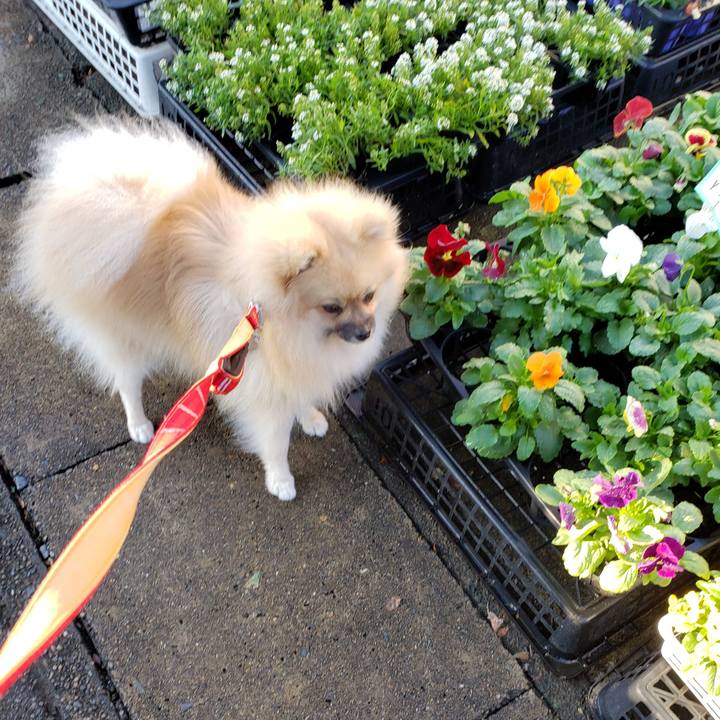 Ba110809 555d 45a9 9579 78d72599a767 1634796083191