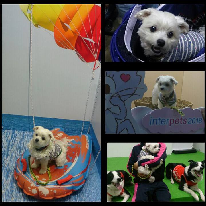 Ba112964 3eaa 4fab a160 4268cc786fde 1522567710590