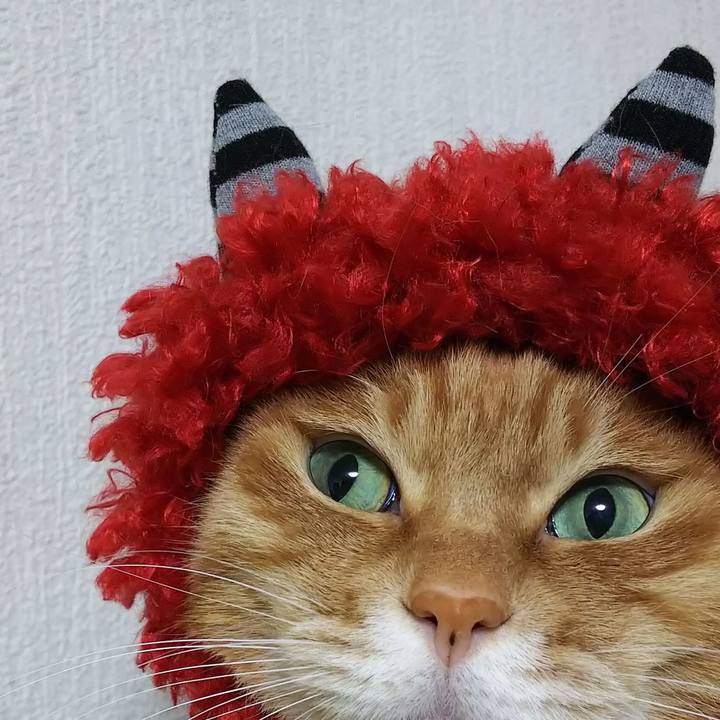 Ba118c6b 58e9 48da 8a2e 73a5ebd81a80 1611932840588