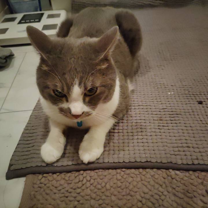 Ba11a782 2fea 43a7 9787 56ec888e7dda 1678399068526