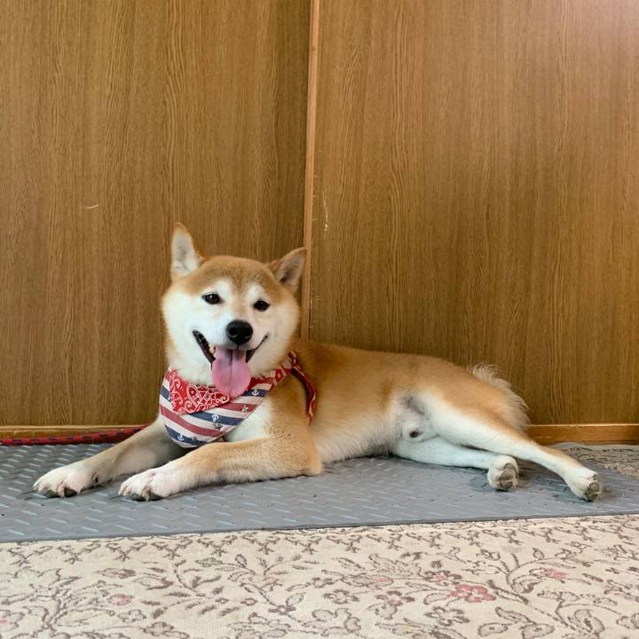 Ba11d992 9cef 4250 be41 3624593bc942 1595414429873