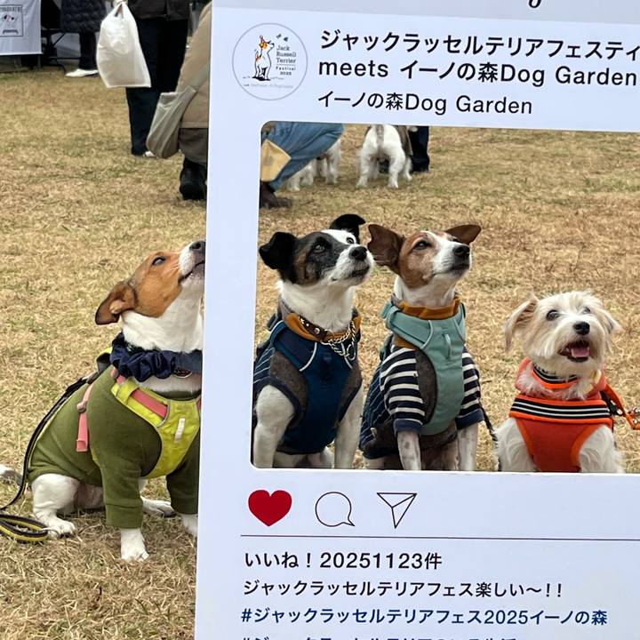 Ba11e425 331b 4335 87b0 9d224fb9eb17 1763885117690