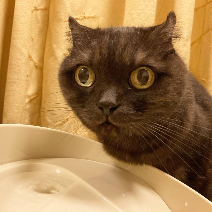 Ba122c68 708b 4855 ab50 2405eb0ed3d5 1601910845639