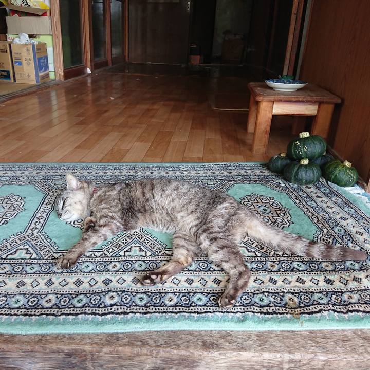 Ba12ac45 536c 4499 a312 5a22110c382b 1596336365144